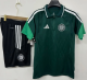 26-27 Celtic  High Quality PoLo Training Short Suit