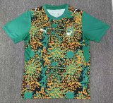 26-27 Cote d'Ivoire Green Special Edition Fans Soccer Jersey