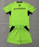 26-27 PSV Green GoalKeeper Adult Suit