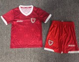 26-27 Wales Red Kids Soccer Jersey