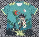 26-27 Algeria Special Edition Fans Soccer Jersey