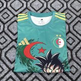 26-27 Algeria Special Edition Fans Soccer Jersey