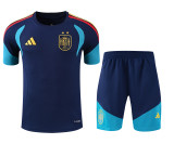 26-27 Spain High Quality Training Short Suit (With 2 Star)*两颗星