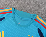 26-27 Spain High Quality Training Short Suit (With 2 Star)*两颗星