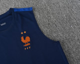 26-27 France High Quality Tank Top And Shorts Suit