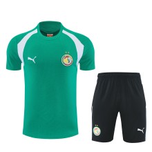 26-27 Senegal High Quality Training Short Suit
