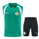 26-27 Senegal High Quality Tank Top And Shorts Suit