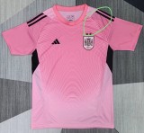 2026 Spain Pink GoalKeeper Fans Soccer Jersey (With 2 Star)*两颗星