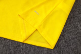 26-27 Dortmund High Quality Training Short Suit