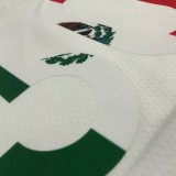 21-22 Warriors CURRY #30 'Mexico' White City Edition Top Quality Hot Pressing NBA Jersey