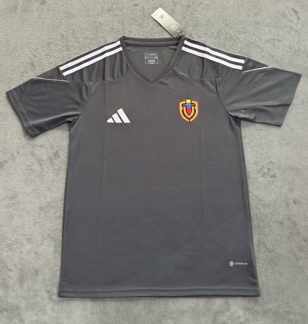 25-26 Venezuela Gray Special Edition Fans Soccer Jersey