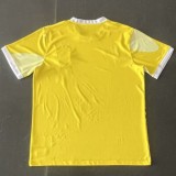2024 Brazil Special Edition Fans Soccer Jersey