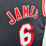 2013-2014 HEAT JAMES #6 Black Retro Top Quality Hot Pressing NBA Jersey