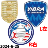 24-25 Argentina 50th Commemorative Edition Player Version Soccer Jersey