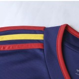 2010 Spain Away Long Sleeve Retro Soccer Jersey(带胸前决赛字)