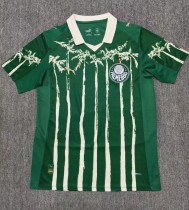 25-26 Palmeiras Special Edition Fans Soccer Jersey