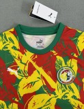 24-25 Senegal  Special Edition Fans Version Soccer Jersey