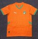 24-25 Cote d'Ivoire Home Fans Soccer Jersey