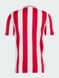 25-26 Olympiacos 100th Anniversary Fans Version Soccer Jersey