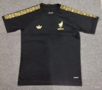 25-26 Mexico Gold Cup Black Fans Soccer Jersey