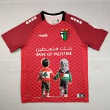 25-26 Palestine Special Edition Fans Soccer Jersey