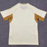 25-26 Los Angeles Beige Training shirts