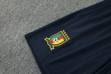 25-26 Cameroon High Quality Training Short Suit