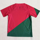 25-26 Morocco Red Green Special Edition Training shirts 1:1 Thai Quality