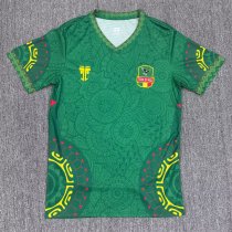 25-26 Mali Green Special Edition Fans Soccer Jersey