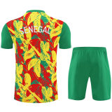 25-26 Senegal High Quality Training Short Suit