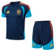2026 Spain Blue High Quality Player Version Training Short Suit (球员套装)