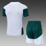 2026 AD White High Quality Player Version Training Short Suit (球员套装)