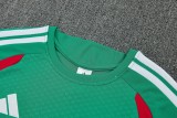 26-27 Algeria High Quality Training Short Suit