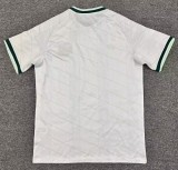 2026 Northern Ireland Away Fans Soccer Jersey