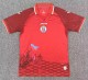 2026 Haiti Third Fans Soccer Jersey