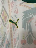 2026 Senegal Home Fans Soccer Jersey (With 2 Star)*两颗星