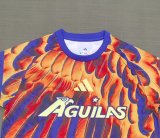 26-27 Club America Special Edition Fans Soccer Jersey