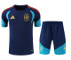 26-27 Spain High Quality Training Short Suit (With 2 Star)*两颗星
