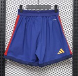 2026 World Cup Spain Home Player Version Shorts Pants (球员短裤)(With 2 Star)*两颗星