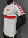 26-27 LIV Grey Player Version Training Shirts