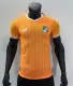 22-23 Cote d'Ivoire 3 stars Player Soccer Jersey