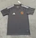 25-26 Venezuela Gray Special Edition Fans Soccer Jersey