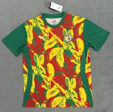 24-25 Senegal  Special Edition Fans Version Soccer Jersey
