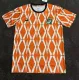 23-24 Cote d'Ivoire Special Edition Fans Version Soccer Jersey