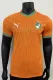 24-25 Cote d'Ivoire Home Players Version Soccer Jersey