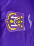 24-25 Anderlecht Home Fans Soccer Jersey