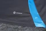 24-25 Argentina High Quality Training Short Suit