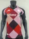 24-25 Bayern Special Edition Player Version Soccer Jersey（名在号下）