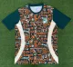 24-25 Cote d'Ivoire Special Edition Fans Version Soccer Jersey