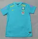 22-23 Brazil Special EditionFans Training Soccer Jersey